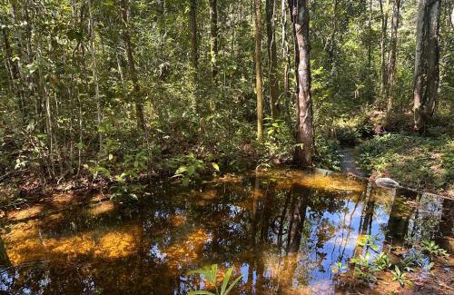 Carolina House | Chacara Refugio das Babaçus