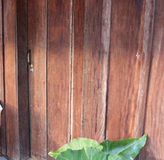 Carolina House | Chacara Refugio das Babaçus