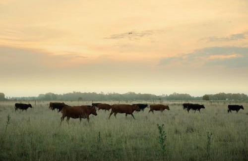 Azul Hotel | Chacras de Azcona Hostería