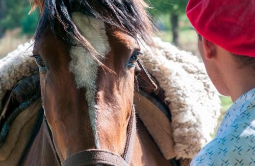 Azul Hotel | Chacras de Azcona Hostería