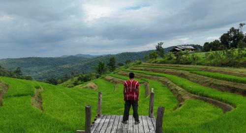 Mae Wang Ski Chalet | Chakerpor rice terrace
