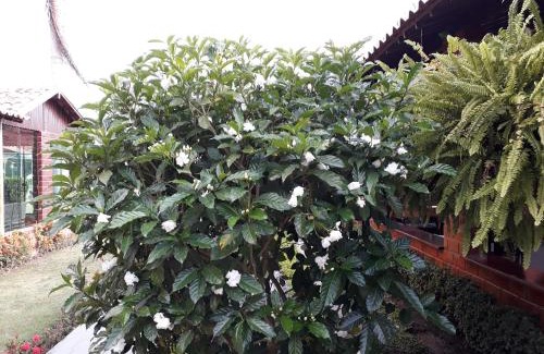 Novo Gravata House | Chalé aconchegante na Serra Pernambucana - Em condomínio - Gravatá