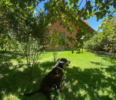 Caruaru Bed & Breakfast | Chalé Céu estrelado