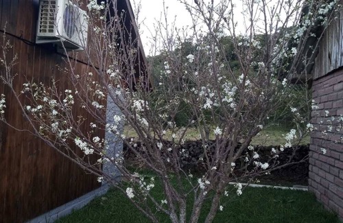 Gramado Ski Chalet | Chalé com Fácil Localização , Para Casais Apaixonados e Para Família