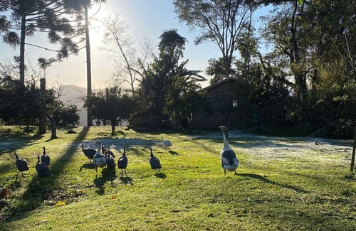 Gramado Ski Chalet | Chalé com Fácil Localização , Para Casais Apaixonados e Para Família