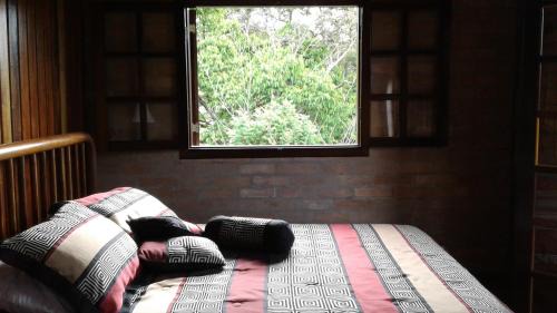 Santo Antonio do Pinhal Ski Chalet | Chalé da Bel