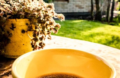 Praia Grande Cabin | Chalé Girassol