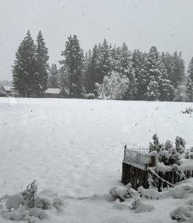 Lanin National Park Ski Chalet | Chalé in Chapelco Golf