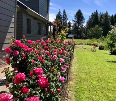 Lanin National Park Ski Chalet | Chalé in Chapelco Golf