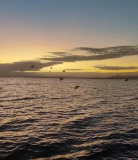 Laguna Ski Chalet | Chalé Lagoa