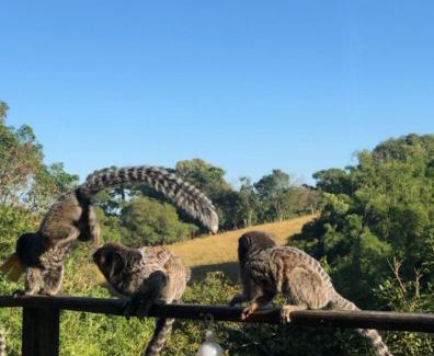 Piedade Ski Chalet | Chalé No Mundo da Lua