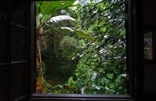 Mambucaba Ski Chalet | Chalé Recanto da Cachoeira