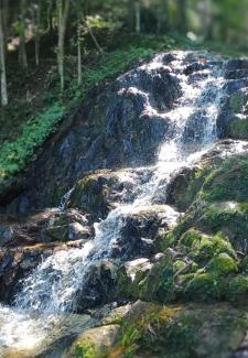 Jaragua do Sul Ski Chalet | Chalé Sítio Do Voinho