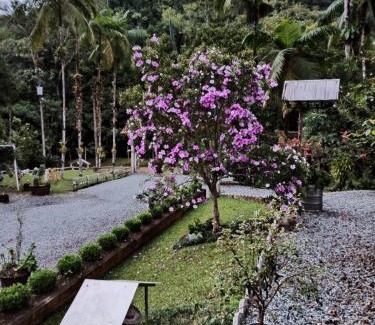 Jaragua do Sul Ski Chalet | Chalé Sítio Do Voinho