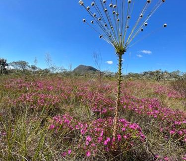 Alto Paraiso de Goias House | Chalé toca do lobo