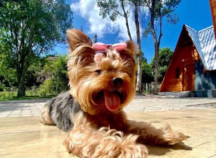 Sao Francisco de Paula Cabin | Chalés da Serra