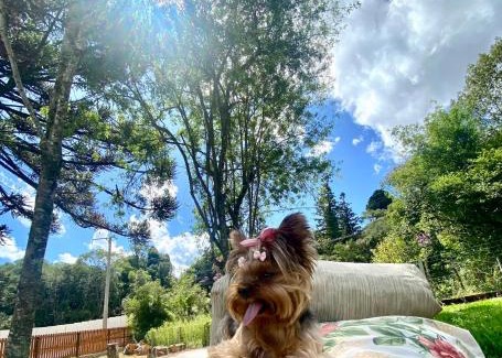 Sao Francisco de Paula Cabin | Chalés da Serra