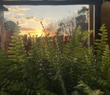 Pirenopolis Cabin | Chalés na Roça