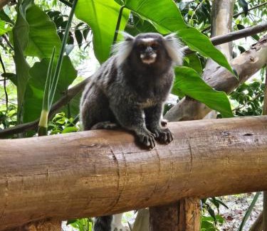 Imbassai Bed & Breakfast | Chalés na Vila Natholi