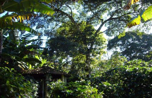 Ubajara National Park Hotel | Chalés Sítio do Alemão