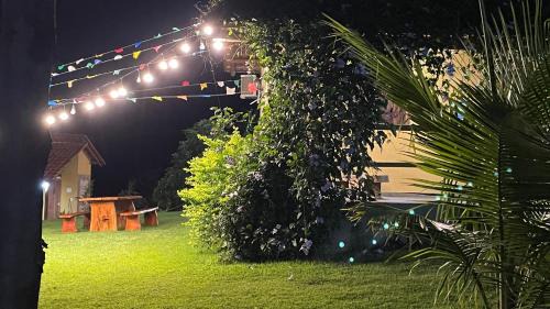 Bananeiras Cabin | Chalés Samambaia