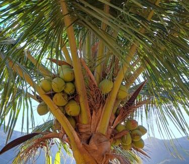 Santana do Riacho Cabin | Chale3 Rabodegalo