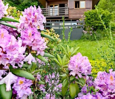 Liezey Ski Chalet | Chalet « à l’orée du bois »