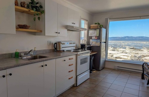 Cap-Saint-Ignace Ski Chalet | Chalet #11 Waterfront with Spa, Wifi & AC
