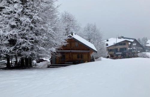 Boutx Ski Chalet | CHALET 6 PERSONNES SUR PISTE