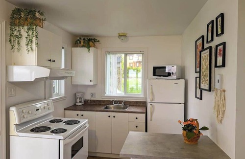Cap-Saint-Ignace Ski Chalet | Chalet #7 Waterfront with Spa, Fireplace, Wifi & AC
