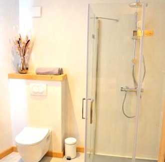 Oz-en-Oisans Ski Chalet | Chalet 800