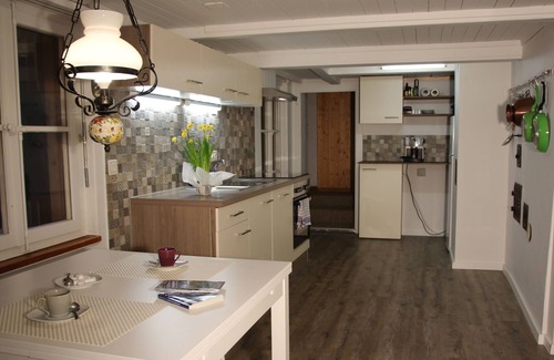 Innertkirchen Apartment | Chalet 9 (apartment on the 1st floor)