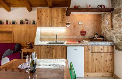Tenna Apartment | Chalet Altinate