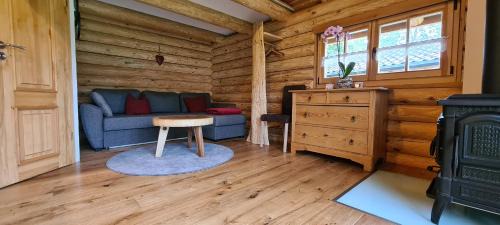 Bad Brambach Ski Chalet | Chalet am See