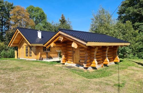 Bad Brambach Ski Chalet | Chalet am See