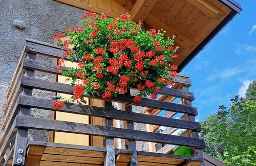 Barco Ski Chalet | Chalet 'Baita Angomà' with Mountain View and Private Garden