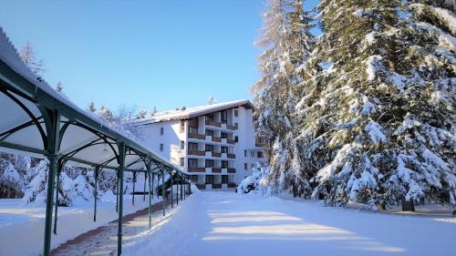 Waldhaus Flims Apartment | Chalet Belmont