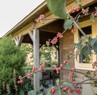 Benningbroek Bed & Breakfast | Chalet Ben in Broek