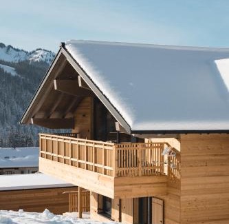 Balderschwang Apartment | Chalet BergInsel