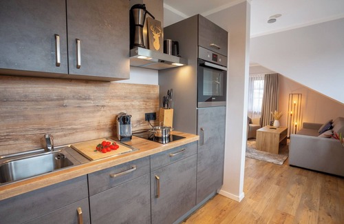 Hohegeiß Apartment | Chalet Bergzeit Wohnung 2