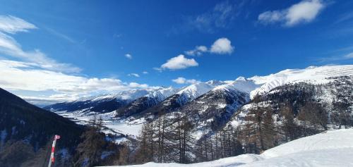 Ulrichen Ski Chalet | Chalet Biene - Swiss Alp Chalet with Sauna and Jacuzzi