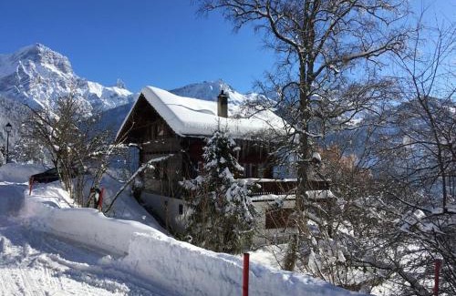 Les Posses-sur-Bex Ski Chalet | Chalet Blanche Neige
