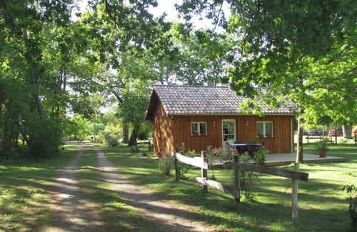 Luglon House | Chalet Bois au Coeur de la Forêt des Landes