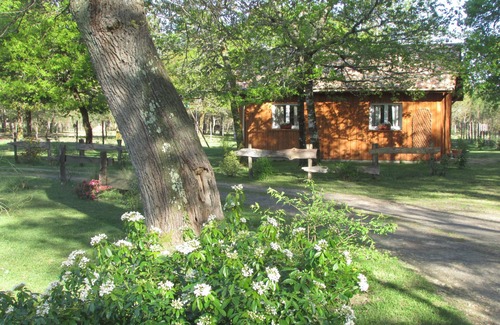 Luglon House | Chalet Bois au Coeur de la Forêt des Landes
