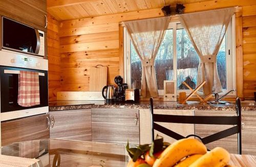 Bessan Ski Chalet | Chalet bois jacuzzi