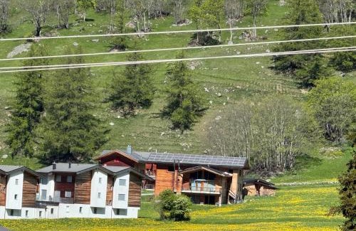 Obergesteln Apartment | Chalet Breithorn- Perfect for Holiday with Amazing View!