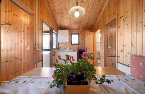 Barzio House | Chalet "Casa Rododendro" with Mountain View, Wi-Fi & Garden