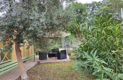 Sorbo-Ocagnano Ski Chalet | Chalet climatisé avec patio en Haute Corse 5 couchages