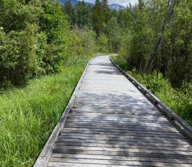 Valemount Hotel | Chalet Continental Motel