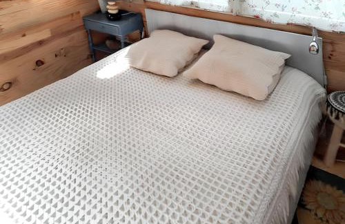 Molinot Ski Chalet | Chalet de charme à Molinot + Piscine privée